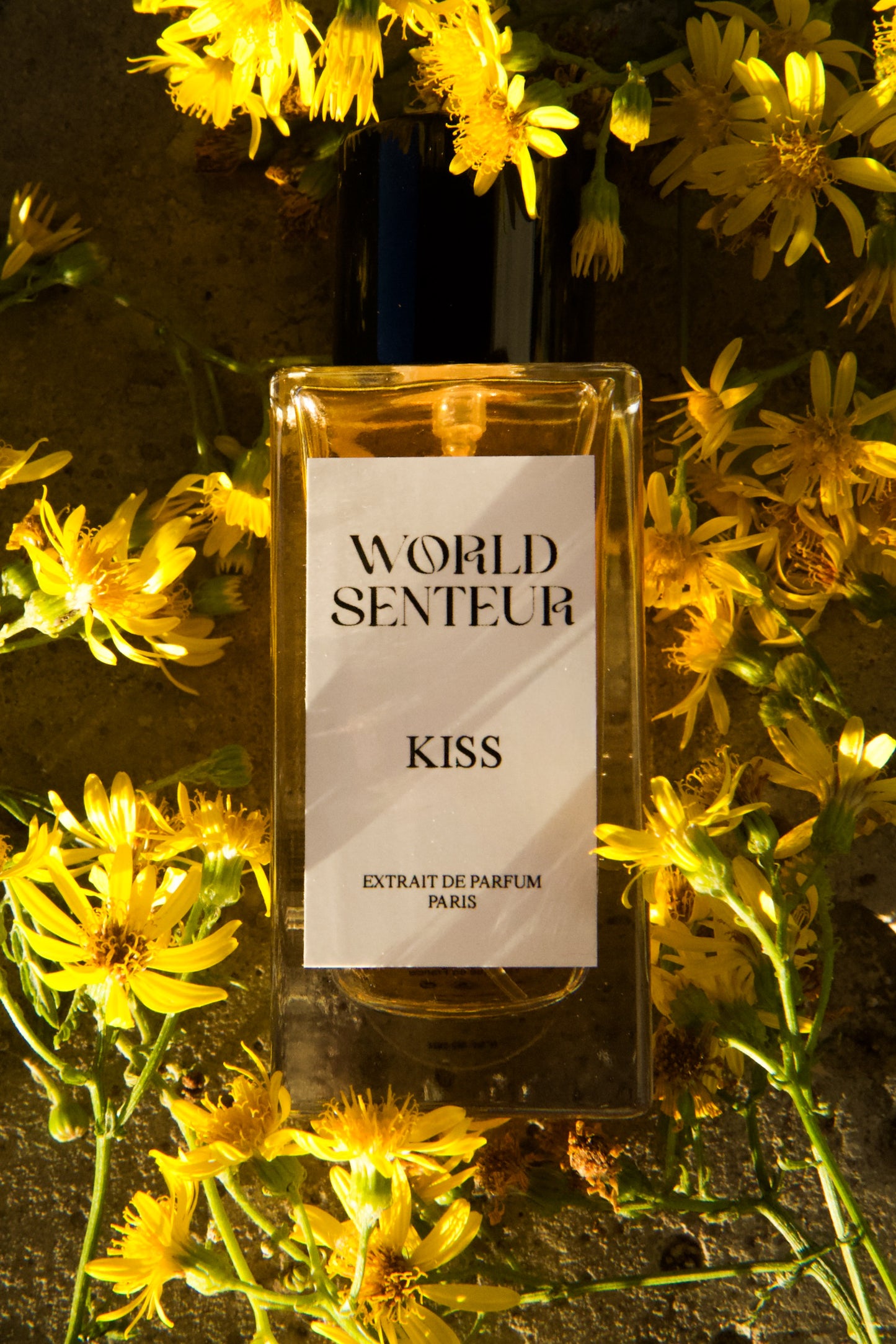 Extrait KISS World Senteur - 50Ml