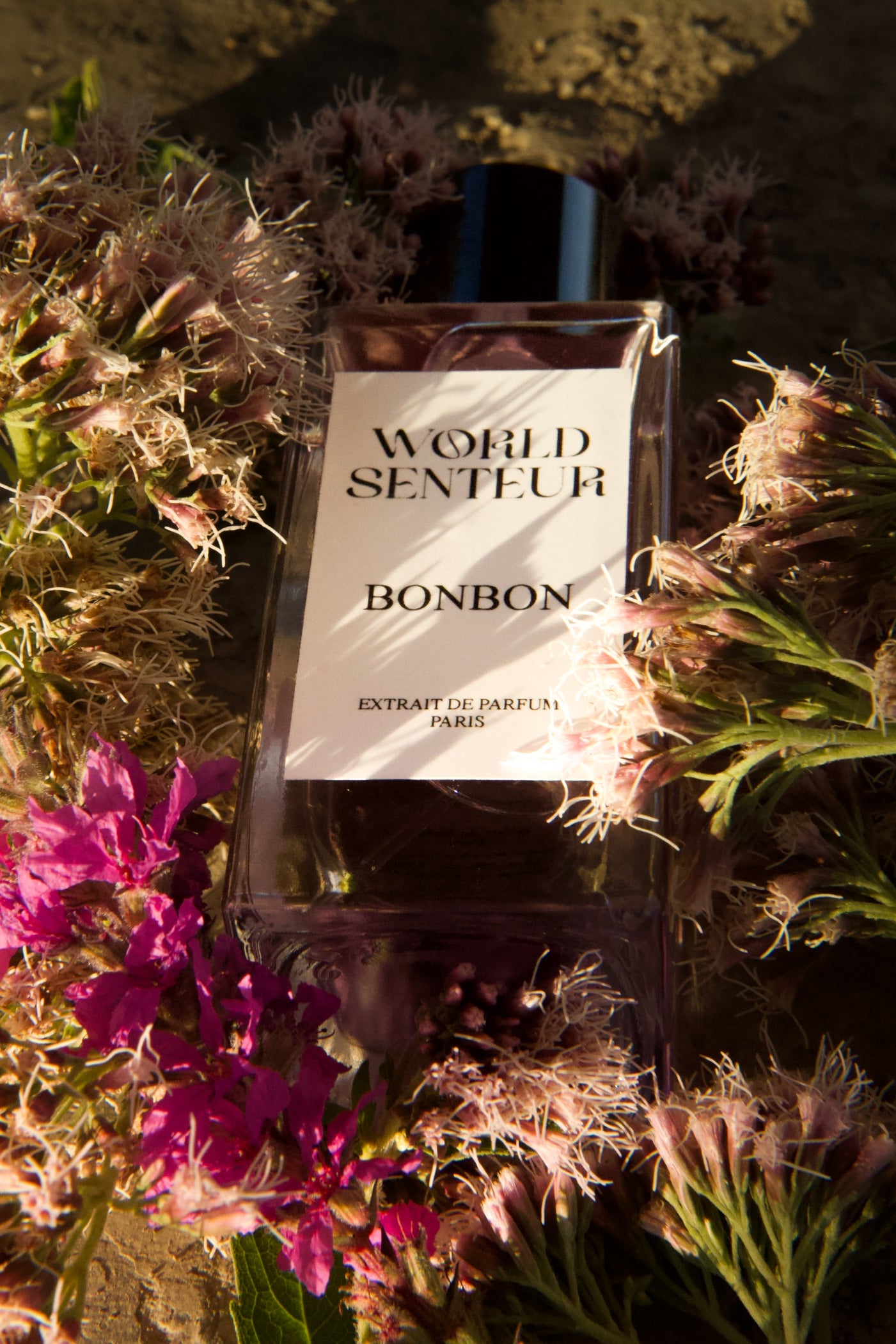 Extrait BONBON World Senteur - 50Ml