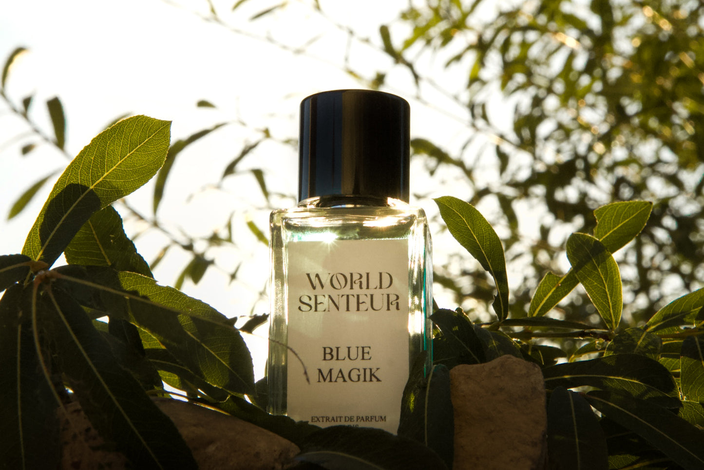 Extrait BLUE MAGIK World Senteur - 50Ml