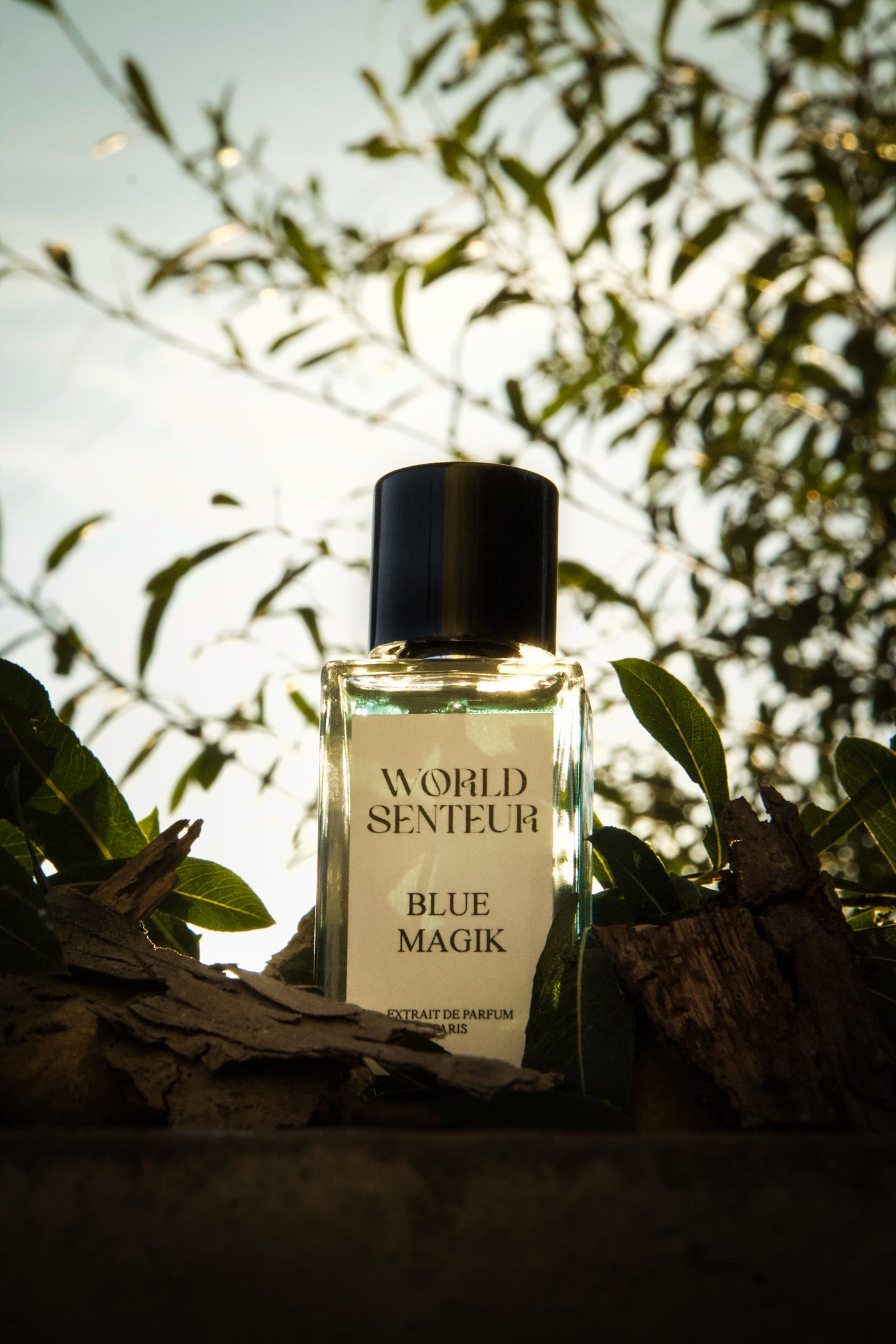 Extrait BLUE MAGIK World Senteur - 50Ml