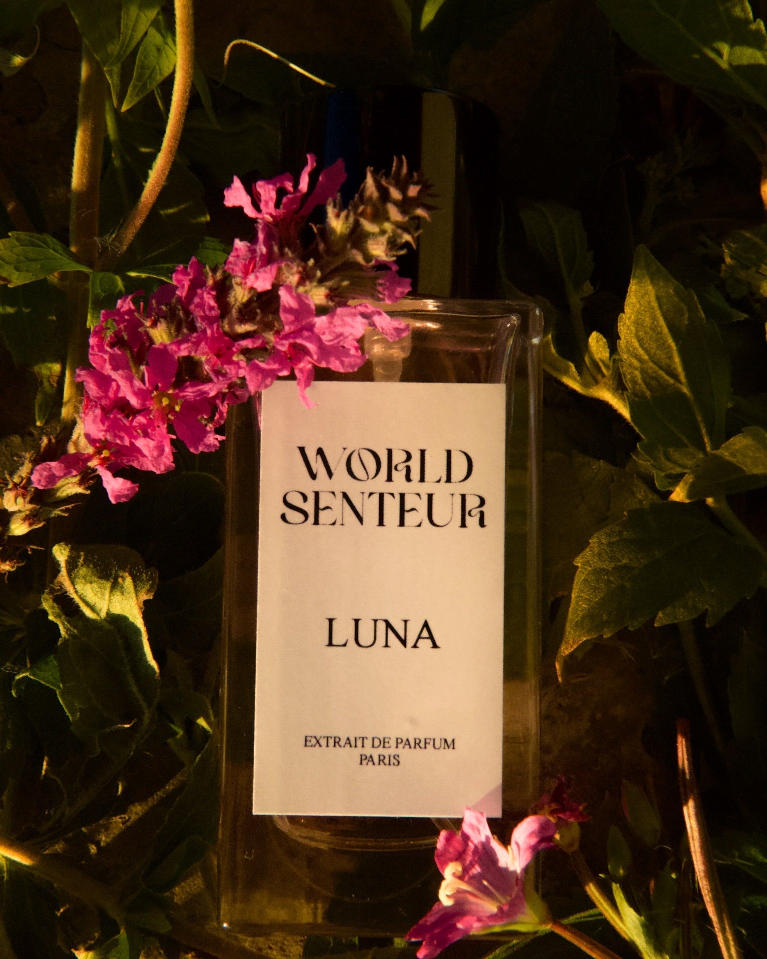 LUNA 50Ml - Extrait de parfum - World Senteur