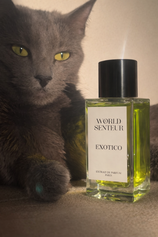 EXOTICO 50Ml - Extrait de parfum - World Senteur