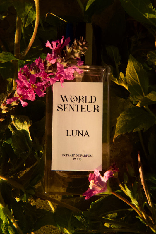 Extrait LUNA World Senteur - 50Ml