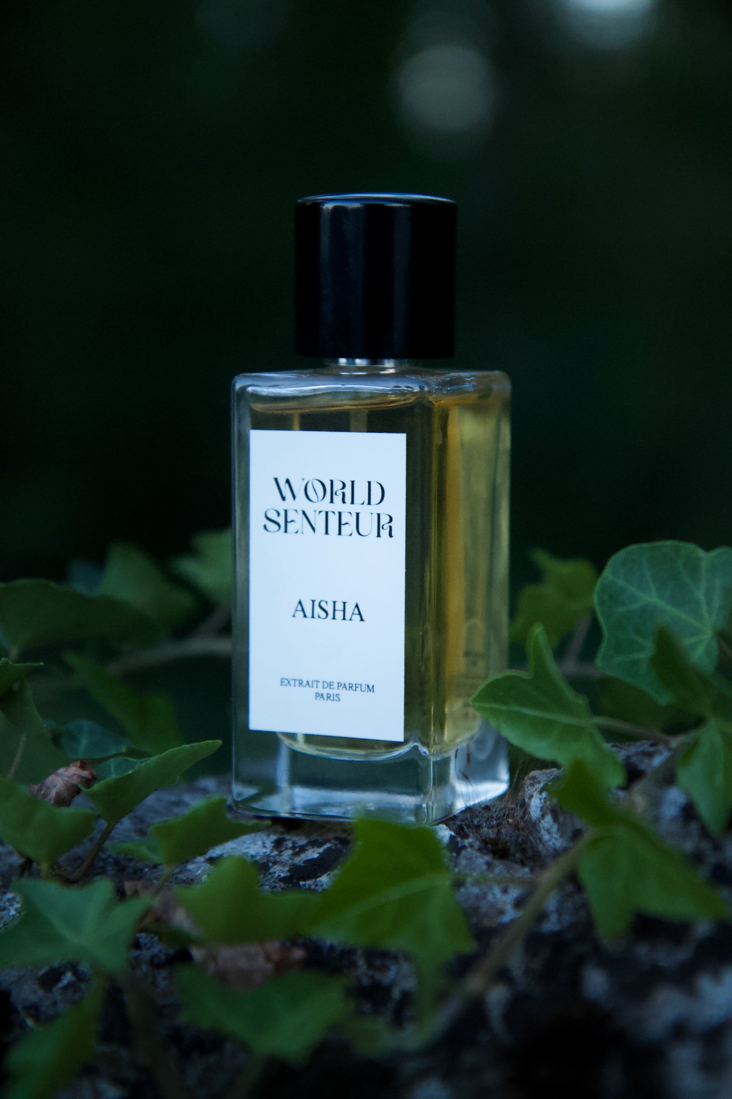 Extrait AISHA World Senteur - 50Ml