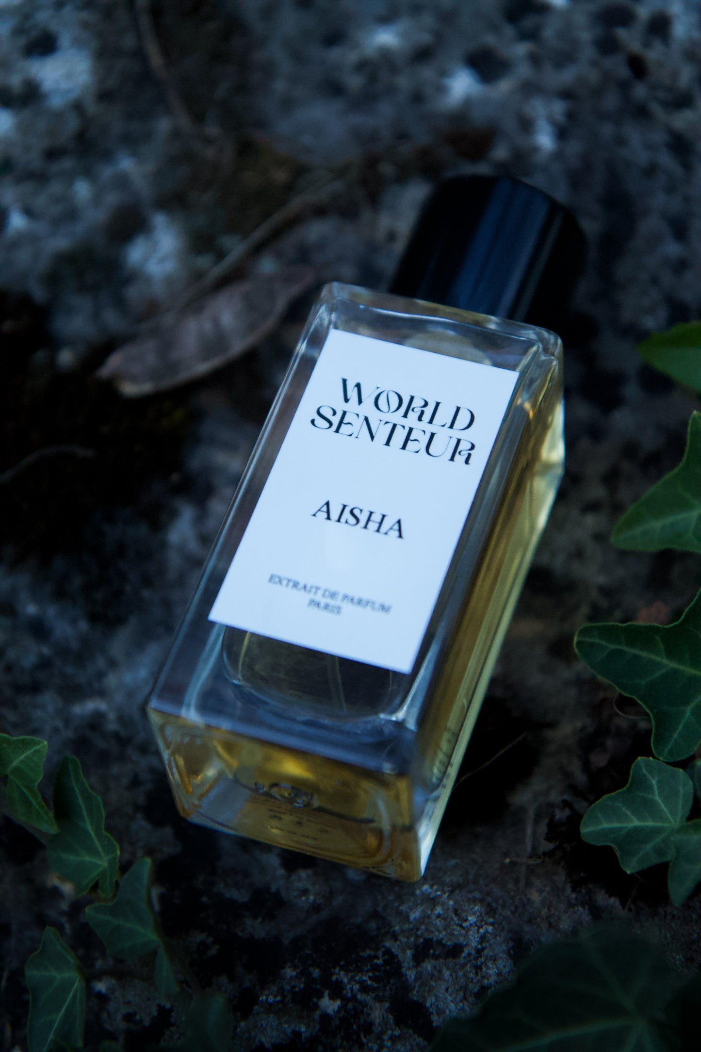 Extrait AISHA World Senteur - 50Ml